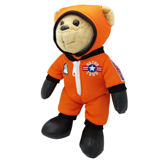 2006 Astro Tedd 25cm Bear £19.99